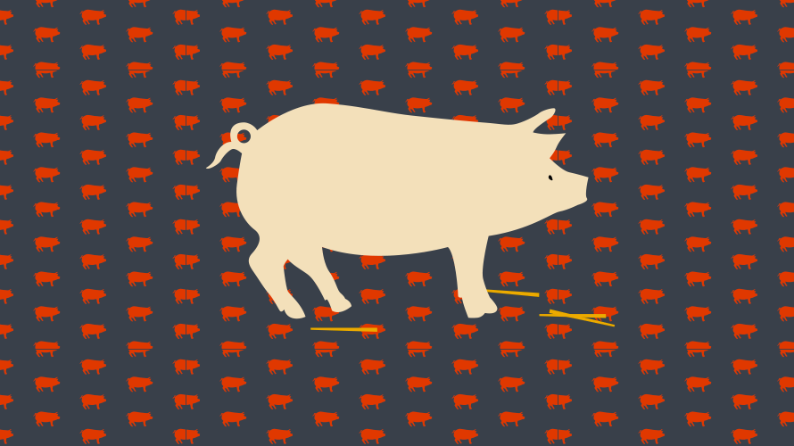 Cochon, illustration
